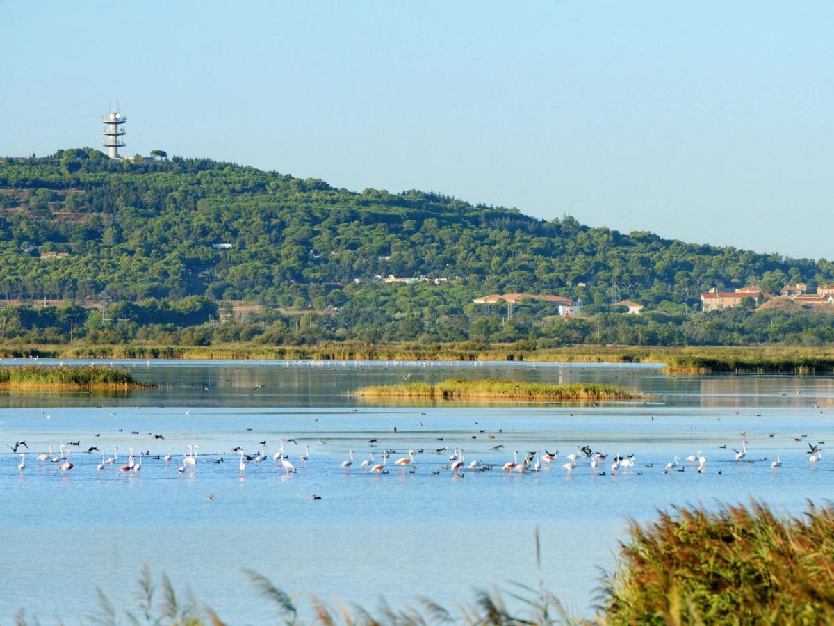 Holiday Home Ile St Martin By Interhome Agde Bagian luar foto